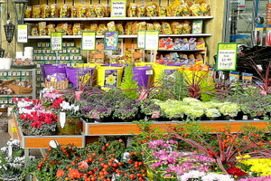 Garden Store